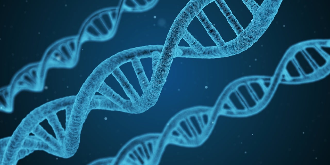 dna, helix, string, biology, 3d, biotechnology, chemistry, medicine, research, medical, science, microbiology, genetic, discovery, evolution, health, cloning, disease, genes, laboratory, pattern, dna, dna, dna, dna, dna, biology, medical, science, health, health