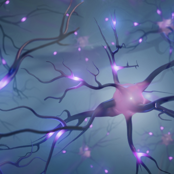 ALS Stem Cell Treatment